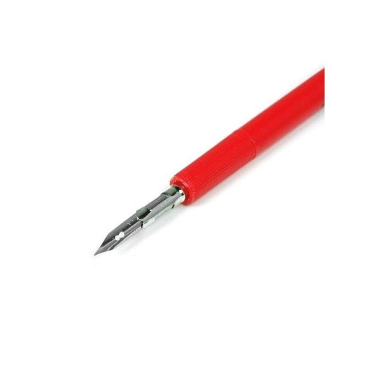 BIC- Penna Punta China 1770 France
